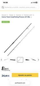 Rods Team carpfishing Canne team carpfishing 10,3 Rods Team carpfishing Canne team carpfishing 10,3