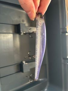 Lures Sakura Bulwip SP