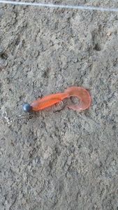Lures null Queue roulée