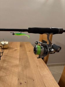 Reels Daiwa DAIWA EXCELER LT2000S-XH