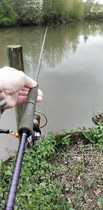 Lures Daiwa Combo drop shot 