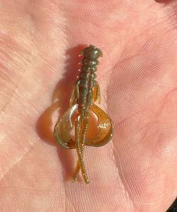 Lures Crazy Fish Nimble 1,2 pouces 