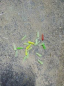 Lures null leure fluau resan