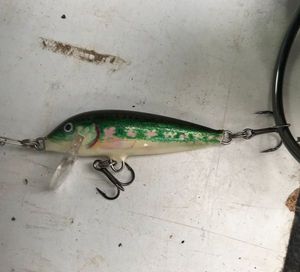 Lures null Petit poisson nageur