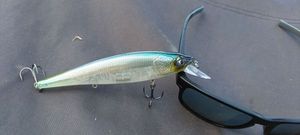 Lures Caperlan Jerkbait wxm