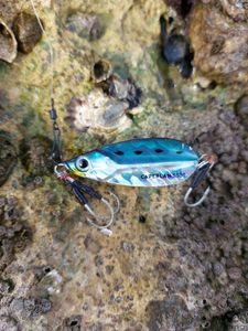Lures Caperlan Jig caperlan 30g