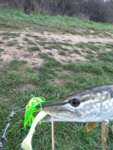 Lures Caperlan Spinner bait Lures Caperlan Spinner bait