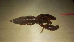 Lures Caperlan Yubary-craw 3" 