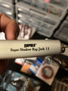 Lures Rapala Super shadow rap jerk 11