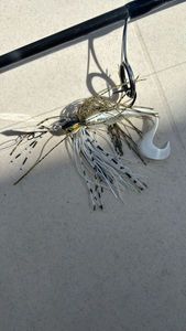 Lures Caperlan Chatter Bealey