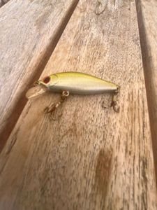 Lures Caperlan Longbill minnow 