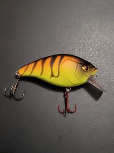 Lures Caperlan Crankbait shallow runner 53f 