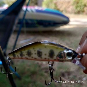 Lures null Za moas