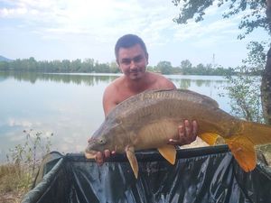 Mirror Carp