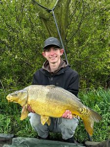 Mirror Carp