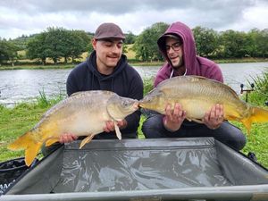 Mirror Carp