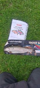 Rainbow Trout