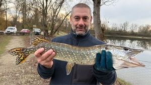 Northern Pike