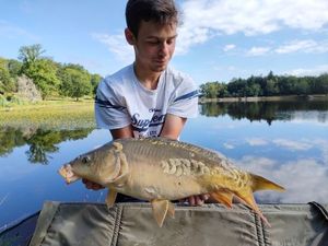 Mirror Carp