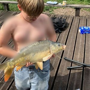 Mirror Carp