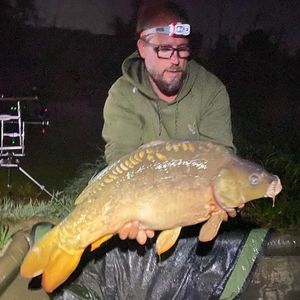 Mirror Carp
