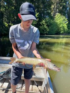 Northern Pike