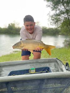 Mirror Carp