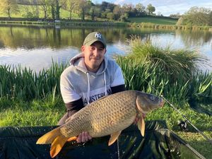 Common Carp