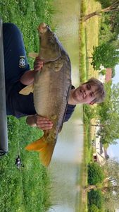 Mirror Carp