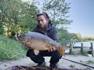Mirror Carp