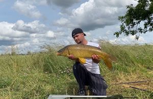Common Carp