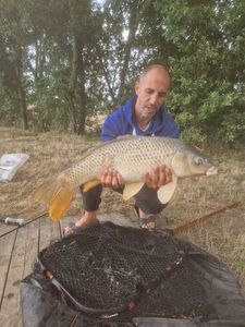 Common Carp