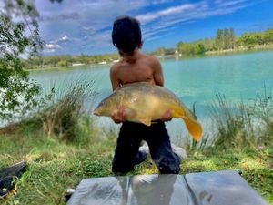 Mirror Carp