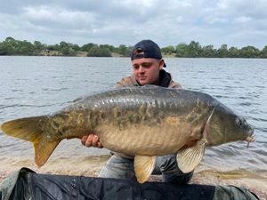 Mirror Carp