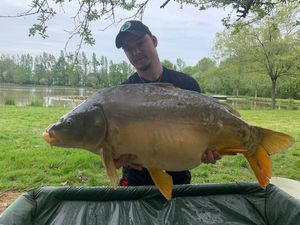 Mirror Carp
