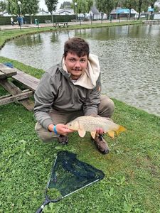 Common Carp
