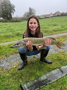 Northern Pike