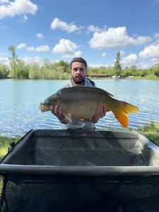 Leather Carp