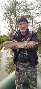 Northern Pike