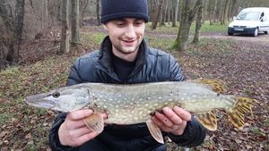 Northern Pike