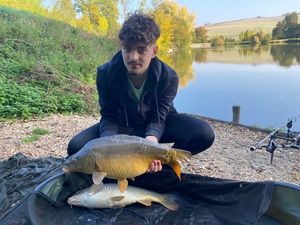 Common Carp