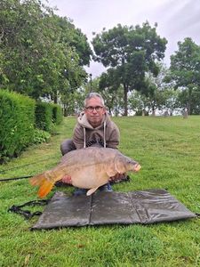 Mirror Carp