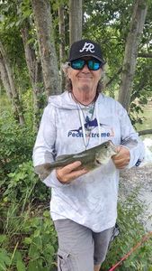 Largemouth Bass