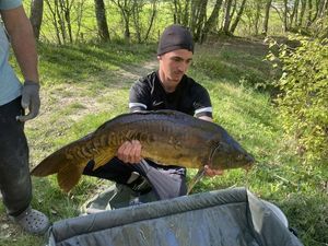 Leather Carp