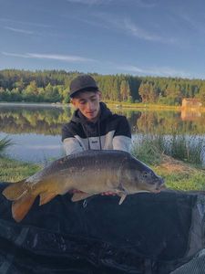 Mirror Carp