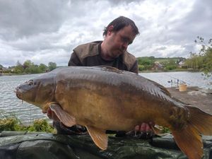 Mirror Carp