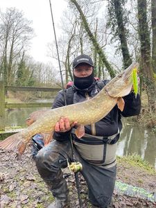 Northern Pike