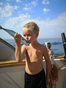 Chub Mackerel