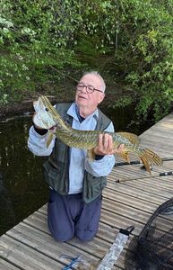 Northern Pike