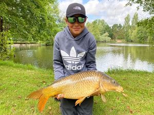 Common Carp